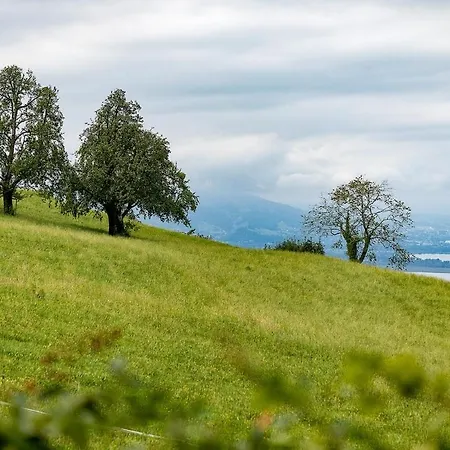샬레 Design-chalet With Garden, Pool, & Restaurant 로하우