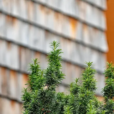 Design-chalet With Garden, Pool, & Restaurant