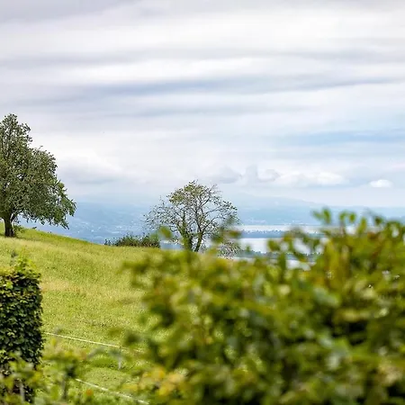 木屋 Design-chalet With Garden, Pool, & Restaurant