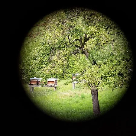 Design-chalet With Garden, Pool, & Restaurant 로하우