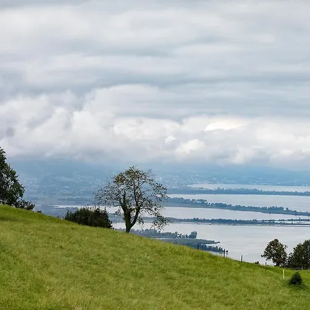 Design-chalet With Garden, Pool, & Restaurant Lochau